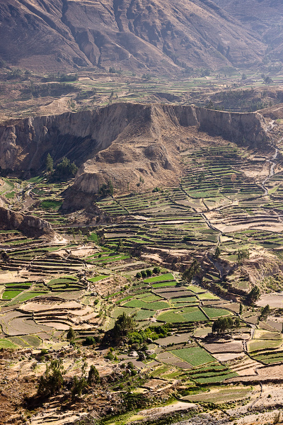 Terraces and farmland in the valley